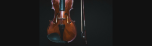 wood musical instrument