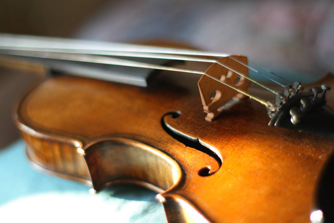 viola-lessons-tampa-Barrett-School-Music.jpg