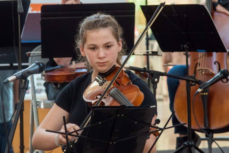 Viola Lessons in Miami Barrett School of Music in Miami